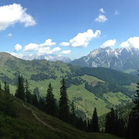 Vorderbichlhof * Viehhofen